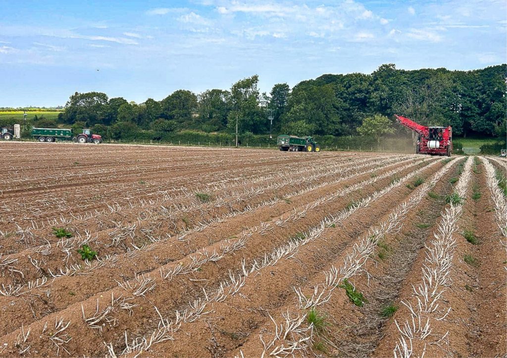 Grimme Varitron 3