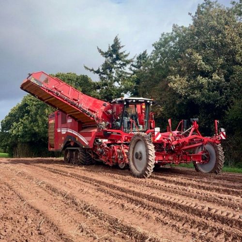 2024 Grimme Varitron 470tt Platinum 1