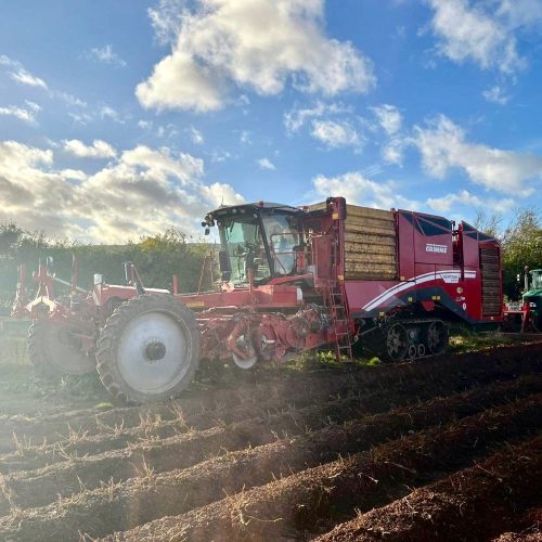 2024 Grimme Varitron 470tt Platinum 3