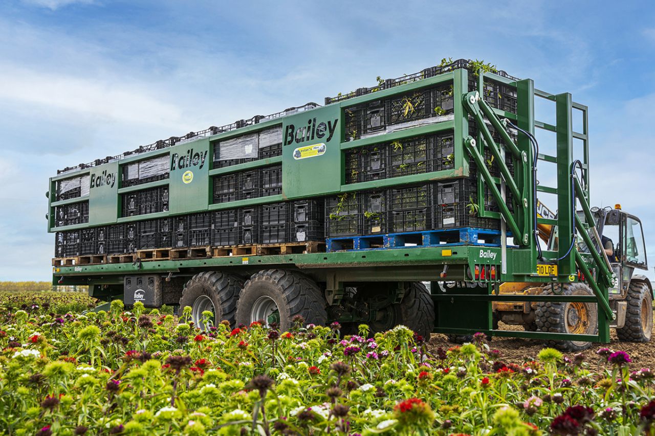 Bailey Trailers Market Garden Trailers