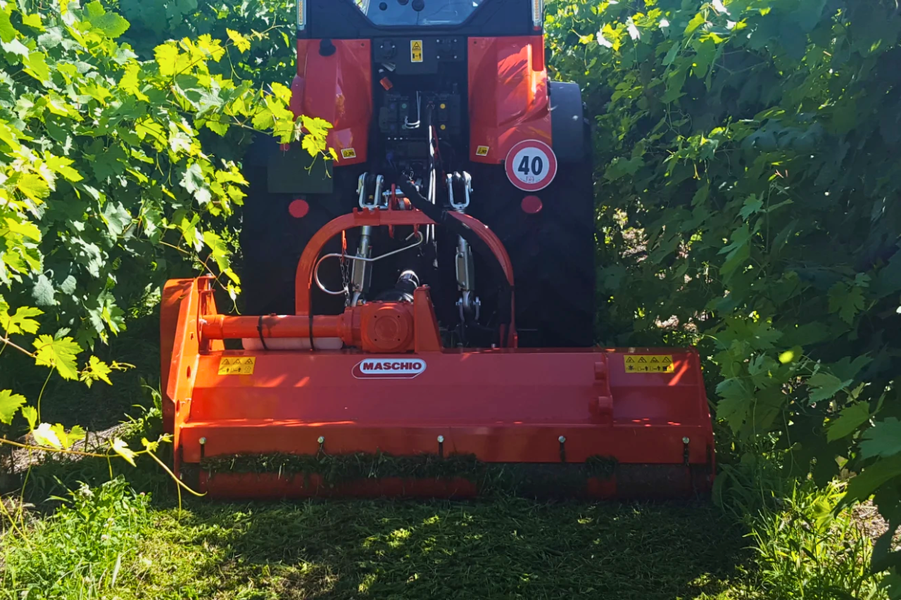 Maschio Green Maintenance