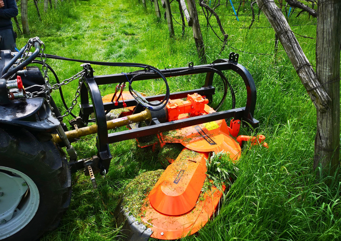 Perfect Van Wamel Fruit Harvesting