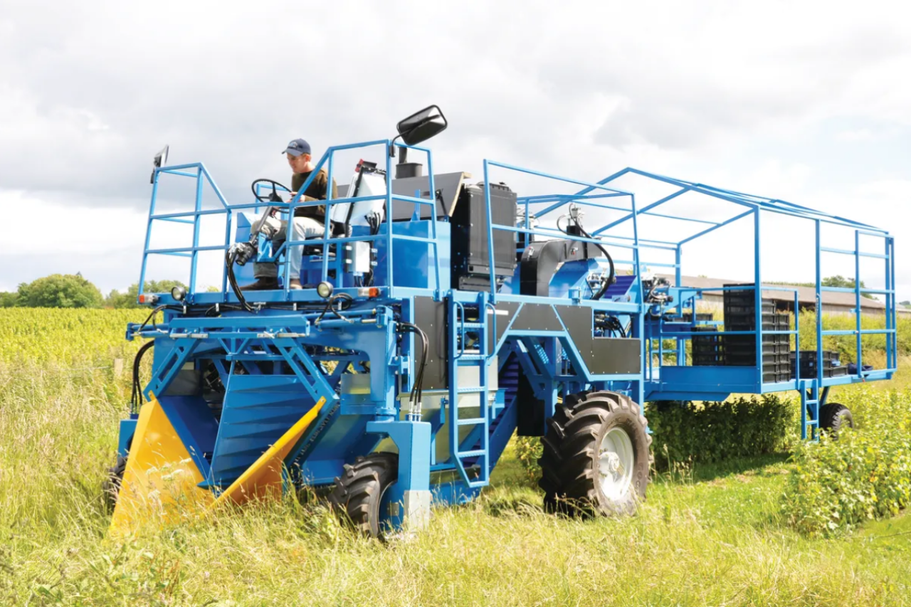 Sfm Technology Blackcurrant Harvesting