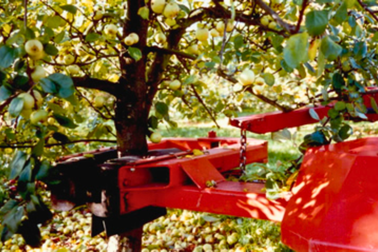 Tuthill Temperley Tree Shaker