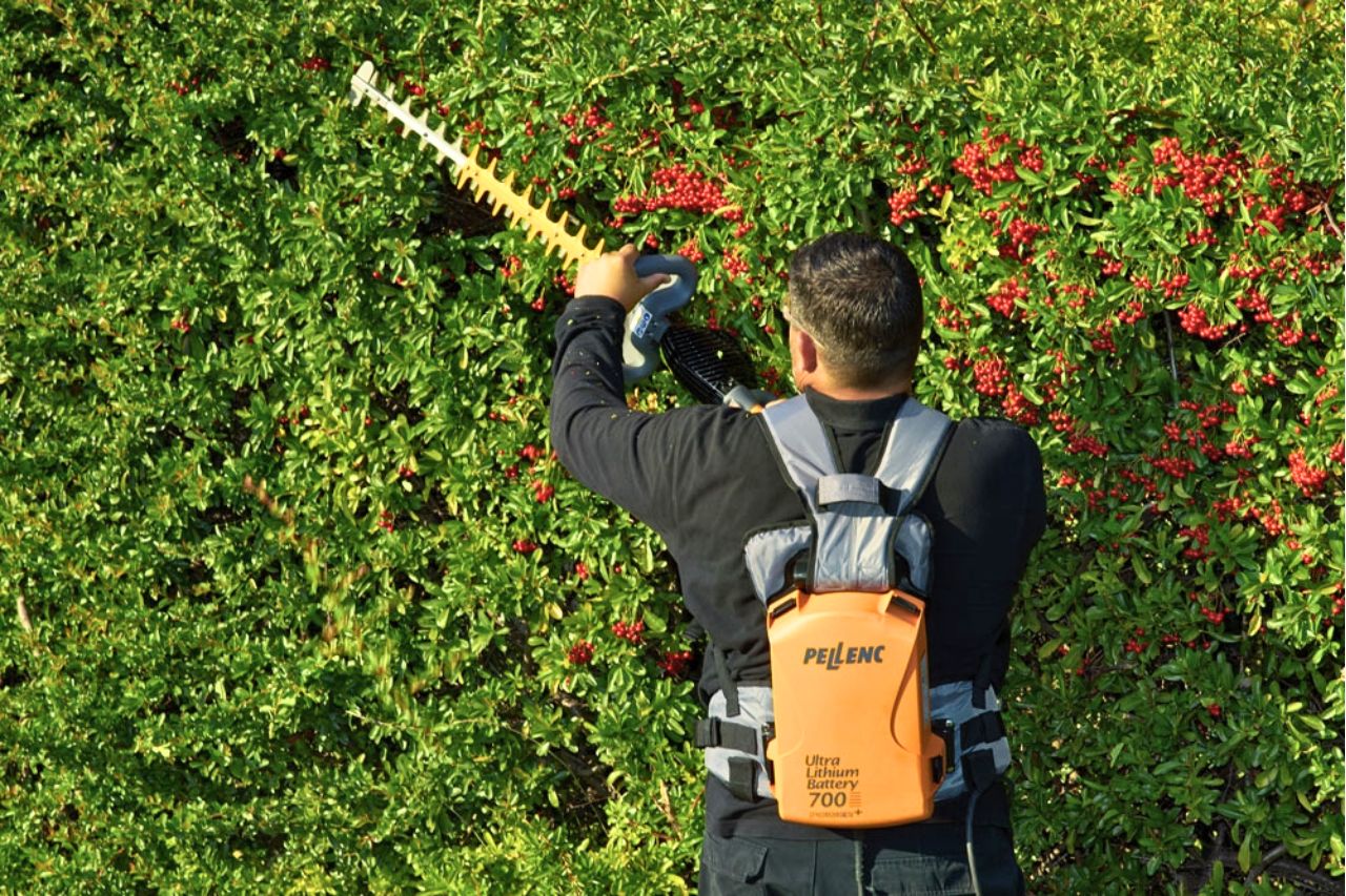 Pellenc Helion Hedge Trimmers