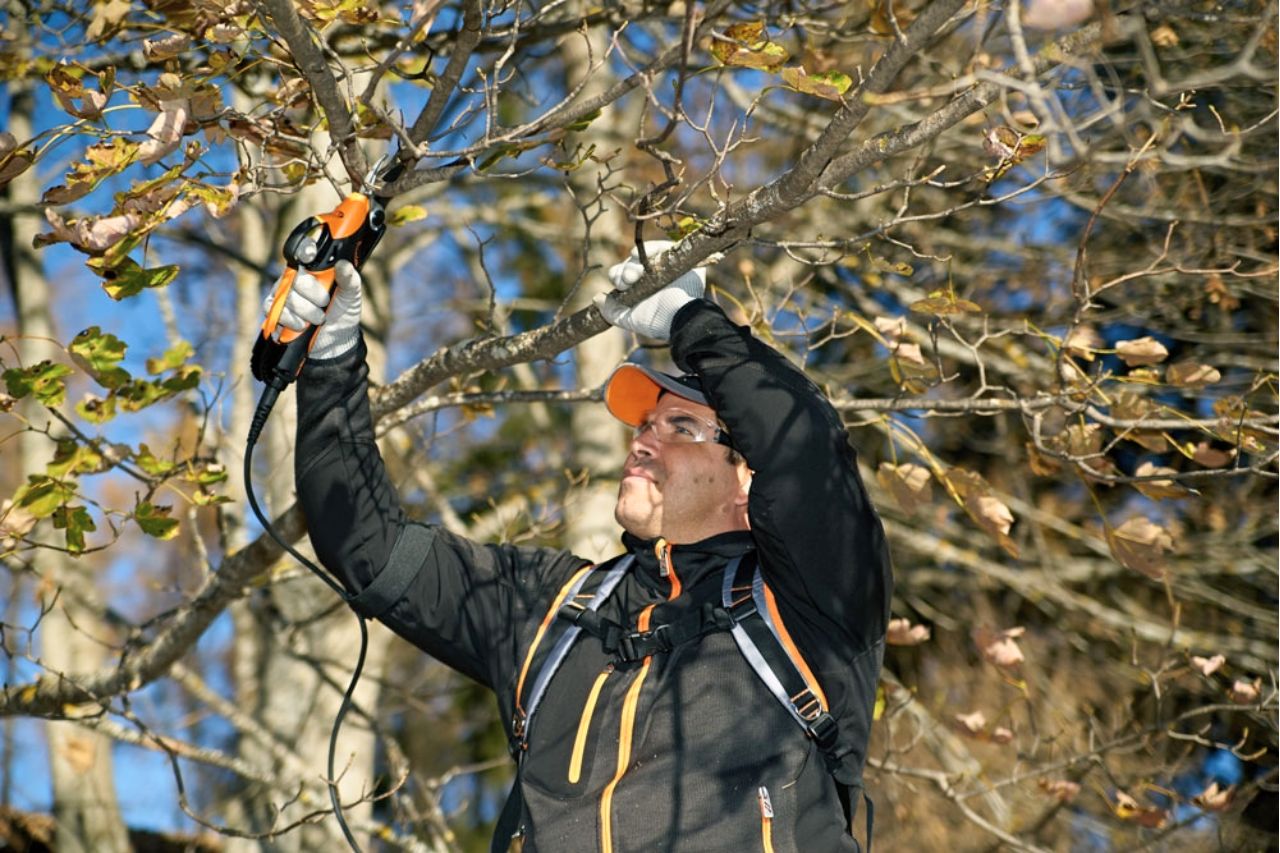Pellenc Pruning Shears